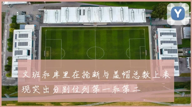 文班和库里在抢断与盖帽总数上表现突出分别位列第一和第二