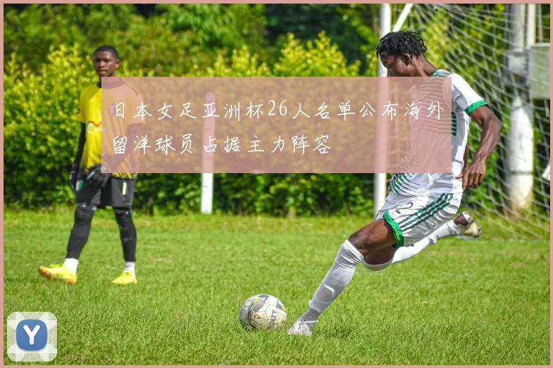 日本女足亚洲杯26人名单公布海外留洋球员占据主力阵容